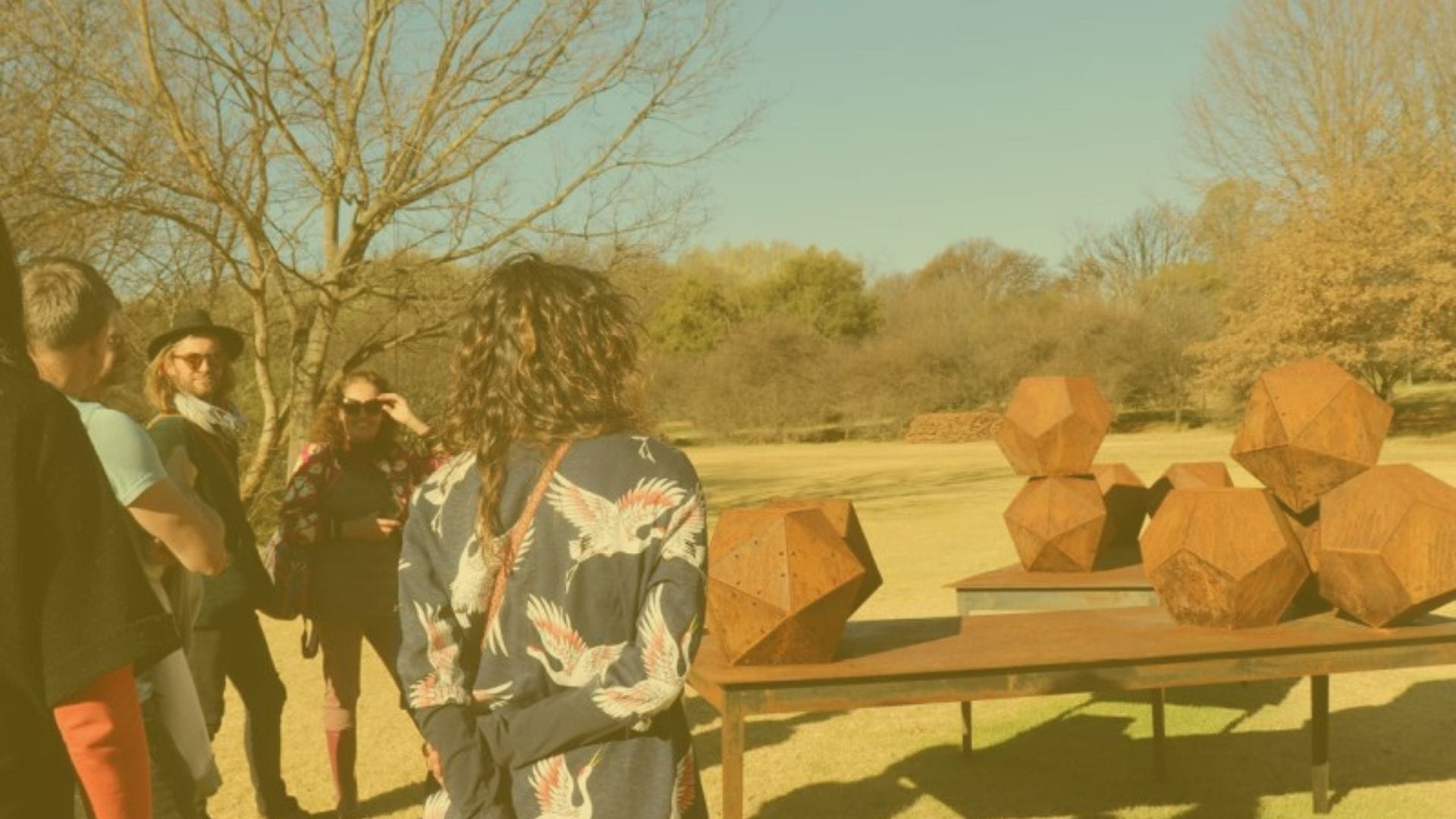 Johannesburg Tours Artroute